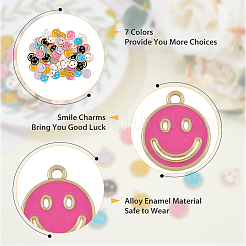 70шт 7 цвета сплава эмалевые подвески&nbsp;ENAM-FH0001-69