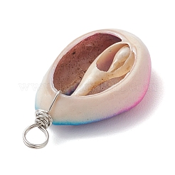 Подвески из натуральной ракушки каури&nbsp;PALLOY-JF04260-01