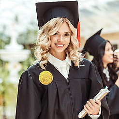 Пластиковые самоклеящиеся наклейки с тиснением из золотой фольги&nbsp;DIY-WH0211-338