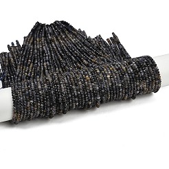 Природные иолит нитей бисера G-RM2025-C40-3x4mm