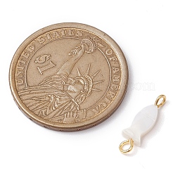 Натуральные пресноводные ракушки рыбы соединения соединительные подвески&nbsp;PALLOY-JF02821