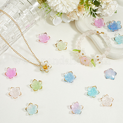 180шт 6 цвета прозрачные акриловые колпачки для бусин&nbsp;TACR-PA0001-08