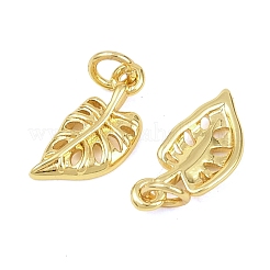 Латунные подвески&nbsp;KK-D218-12G-01