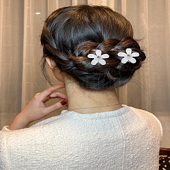 8 шт. пластиковые заколки-коготь для волос&nbsp;OHAR-LP0002-28