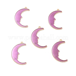 Подвески из эмали и сплава&nbsp;LS-ENAM-E005-01G-01