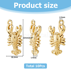 10 шт. подвески из нержавеющей стали 304 с тематикой океана&nbsp;STAS-HS0001-59