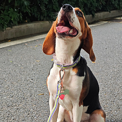 1 шт. подвеска из искусственной кожи&nbsp;HJEW-SP0001-24A