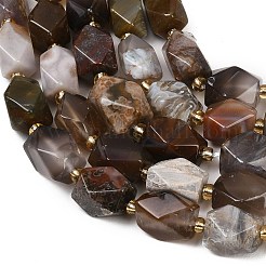 Природные Ботсвана агат бисер нитей&nbsp;G-P611-B01-01