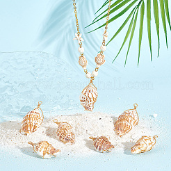 10 шт. большие подвески из натуральной ракушки&nbsp;FIND-BBC0003-11