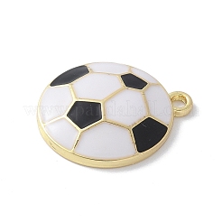 Подвески из эмали и сплава&nbsp;PALLOY-R153-02G-04