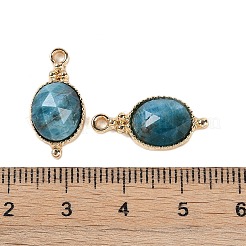 Подвески из натуральных и синтетических смешанных драгоценных камней с огранкой&nbsp;KK-L218-003G-M