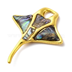 Подвески из нержавеющей стали 304 с натуральными ракушками пауа/абалона&nbsp;STAS-S163-20G