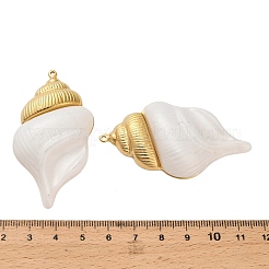 Большие акриловые подвески из нержавеющей стали 304&nbsp;STAS-C152-27B-G