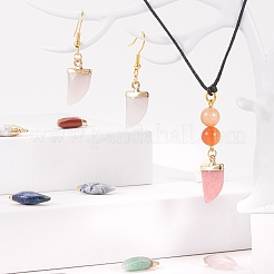 10 шт. 10 стиля подвески из натуральных драгоценных камней&nbsp;G-LS0002-14