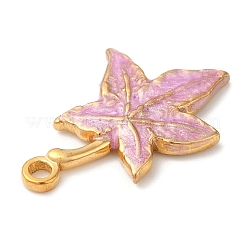 Подвески из нержавеющей стали 304 с эмалью&nbsp;STAS-K256-08G-04