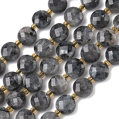 Натуральные нити бус из ларвикита&nbsp;G-K389-B85-01