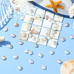 УФ-покрытие АБС-смолы бусины&nbsp;RESI-CJC0027-16