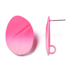 Окрашенные спрей железные серьги&nbsp;IFIN-N008-021D