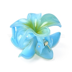 Пластиковые зажимы когтя волос&nbsp;PW-WG07B2B-05