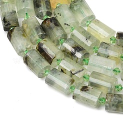 Природные пренит нитей бисера&nbsp;G-G453-E03-10x14mm