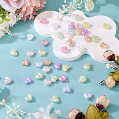 Светящиеся прозрачные акриловые бусины&nbsp;LACR-TA0001-07B