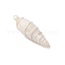 Большие подвески из натуральной спиральной ракушки&nbsp;PALLOY-JF03397-01