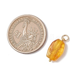 Подвески из натуральных янтарных самородков с градиентным цветом&nbsp;PALLOY-JF04987