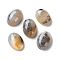 Natural Dendritic Agate Cabochons, Half Oval, 18x13x6mm