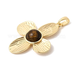 Природных тигровый глаз подвески&nbsp;KK-Z149-20G