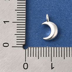 925 серебряный шарм&nbsp;STER-G043-05B-S