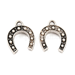 Сплавочные подвески тибетского стиля&nbsp;TIBE-P001-14AS