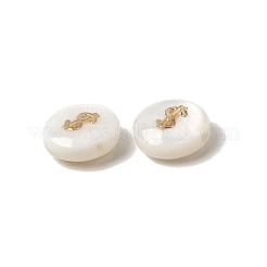 Натуральные пресноводные раковины&nbsp;SHEL-C009-01C