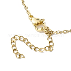 Ожерелья с подвеской в виде клетки с кристаллами&nbsp;NJEW-JN04759-01