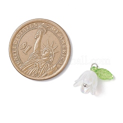 5шт прозрачные акриловые подвески&nbsp;PALLOY-JF04703-02