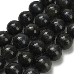 Натуральные черные лабрадоритные бусинки&nbsp;G-L642-B15-14mm
