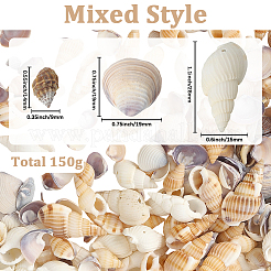 150 г 5 вида натуральных смешанных ракушечных бусин&nbsp;SSHEL-SC0001-51