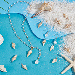 100шт 2 цвета подвески из натуральных ракушек PALLOY-GA00043