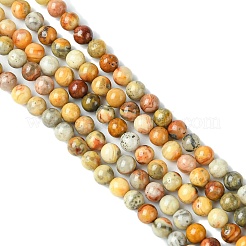 Натуральные сумасшедшие кружевные агатовые круглые бусины&nbsp;LS-G-E334-4mm-20