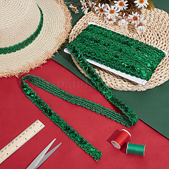 Блестящая кружевная лента с пайетками из ПВХ&nbsp;OCOR-WH0078-388B