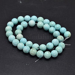 Природные Говлит бисер нитей&nbsp;TURQ-P027-17-10mm