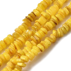 Бусины из натуральных пресноводных ракушек&nbsp;SHEL-B003-01