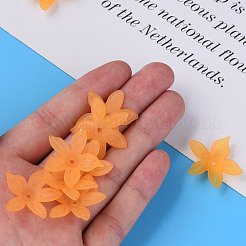 Прозрачные акриловые бусины&nbsp;MACR-S373-127-D05