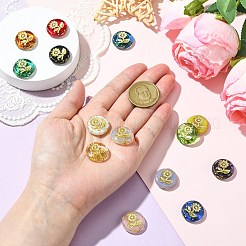 14шт 14 стиля ручной работы бусины лэмпворк&nbsp;LAMP-CJ0002-61