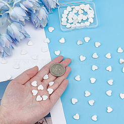 2 нить бусин из натуральных пресноводных ракушек&nbsp;SSHEL-CA0001-03