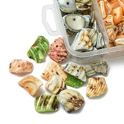 125 г 5-х цветов натуральных бусин-ракушек BSHE-FS0001-06B