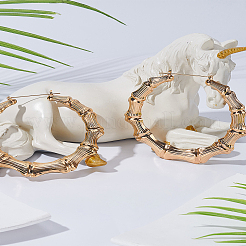 1 пара серег-колец из сплава&nbsp;EJEW-LP0001-24