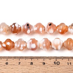 Окрашенные естественный агат бисер пряди&nbsp;G-T144-27D