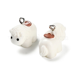 Подвески из непрозрачной смолы&nbsp;LS-FIND-I069-05