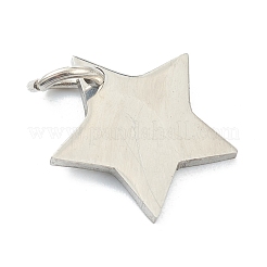 Устойчивые к потускнению (распродажа бракованных изделий: царапины)подвески из нержавеющей стали 304&nbsp;LS-STAS-XCP0001-34