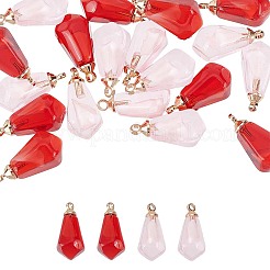 10шт 2 цвета прозрачные подвески из смолы&nbsp;RESI-FP0001-40